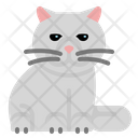 پیش‌نمایش فایل exotic-shorthair-3841896 از پک حیوانات خانگی