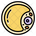 پیش‌نمایش فایل adipose-cell-4046013 از پک کاهش وزن