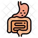 پیش‌نمایش فایل digestive-system-4046021 از پک کاهش وزن