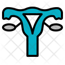 پیش‌نمایش فایل female-uterus از پک پزشکی و سلامت رنگی