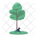 پیش‌نمایش فایل young-tree-with-black-cat-5596532 از پک سرگرمی خلاق