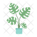 پیش‌نمایش فایل big-leaves-monstera-indoor-houseplant-8850860 از پک کار از خانه