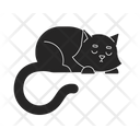 پیش‌نمایش فایل cute-black-cat-sleeping-8928360 از پک دکور گرم و دنج و فناوری