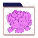 پیش‌نمایش فایل application-window-blooming-peony-10196675 از پک استراحت دهه ۹۰