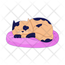 پیش‌نمایش فایل lazy-spotted-cat-sleeping-on-pillow-10196706 از پک استراحت دهه ۹۰