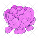 پیش‌نمایش فایل pink-peony-flower-10196674 از پک استراحت دهه ۹۰
