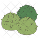 پیش‌نمایش فایل fluffy-bush-plants-11305464 از پک محیط کار توسعه‌دهنده بازی
