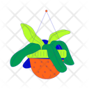 پیش‌نمایش فایل exotic-houseplant-in-hanging-hat-pot-12033085 از پک سرگرمی‌ها