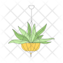 پیش‌نمایش فایل exotic-houseplant-in-hanging-pot-12295502 از پک صنعت کشاورزی