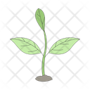 پیش‌نمایش فایل gentle-young-sprout-growing-12295504 از پک صنعت کشاورزی
