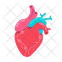 پیش‌نمایش فایل beating-heart-12670249 از پک متفرقه