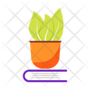 پیش‌نمایش فایل houseplant-12670146 از پک متفرقه