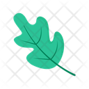 پیش‌نمایش فایل leaf-12670186 از پک متفرقه