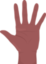 پیش‌نمایش فایل open-palm-gesture-5984675 از پک زبان انگشت