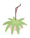 پیش‌نمایش فایل suspended-potted-plant-7168125 از پک متفرقه