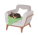 پیش‌نمایش فایل adorable-dog-sleeping-in-comfortable-armchair-7931487 از پک مشکلات وب و راهکارها