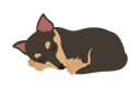 پیش‌نمایش فایل dog-sleeping-7931488 از پک مشکلات وب و راهکارها