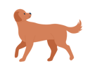 پیش‌نمایش فایل dog-walking-7931475 از پک مشکلات وب و راهکارها