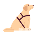 پیش‌نمایش فایل guide-dog-labrador-9908909 از پک تنوع در محیط کار