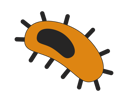 پیش‌نمایش فایل bacterial-infection-10396134 از پک درمان آنفلوآنزا فصلی