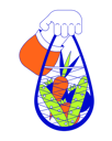 پیش‌نمایش فایل holding-mesh-bag-with-vegetables-cartoon-human-hand-11732305 از پک کالاها اضافی استفاده از مشتریان