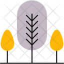 پیش‌نمایش فایل bald-cypress-12951527 از پک طبیعت