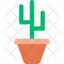 پیش‌نمایش فایل cactus-12951532 از پک طبیعت