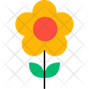پیش‌نمایش فایل daisy-flower-12951536 از پک طبیعت
