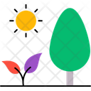 پیش‌نمایش فایل forest-12951546 از پک طبیعت