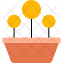 پیش‌نمایش فایل round-shaped-plant-12951565 از پک طبیعت