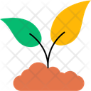 پیش‌نمایش طبیعت