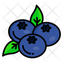 پیش‌نمایش فایل blueberry-5002549 از پک بهار