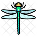 پیش‌نمایش فایل dragonfly-5002558 از پک بهار