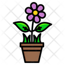 پیش‌نمایش فایل flower-5002564 از پک بهار