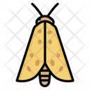 پیش‌نمایش فایل moth-5002575 از پک بهار