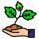 پیش‌نمایش فایل sprout-5002586 از پک بهار