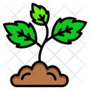 پیش‌نمایش فایل sprout-5002587 از پک بهار