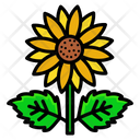 پیش‌نمایش فایل sunflower-5002590 از پک بهار