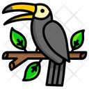 پیش‌نمایش فایل toucan-5002593 از پک بهار