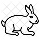 پیش‌نمایش فایل rabbit-3475688 از پک دامپزشک حیوانات خانگی