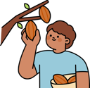 پیش‌نمایش فایل man-plucks-cocoa-beans-11979560 از پک شکلات