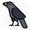 پیش‌نمایش فایل crow-4068989 از پک هالووین