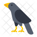 پیش‌نمایش فایل crow-4069026 از پک هالووین