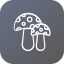 پیش‌نمایش فایل mushroom-242 از پک روز شکرگزاری