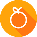 پیش‌نمایش فایل fruit-diet-nutrition-apple-seed-1 از پک کسب‌وکار و خدمات، جلد ۳