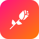 پیش‌نمایش فایل rose-10 از پک ولنتاین ۲۰۱۷