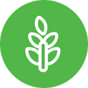 پیش‌نمایش فایل plant-42 از پک Categories 