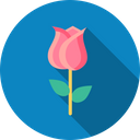 پیش‌نمایش فایل love-romantic-valentine-day-rose-lotus-flower-1 از پک ولنتاین