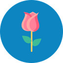 پیش‌نمایش فایل love-romantic-valentine-day-rose-lotus-flower-8 از پک ولنتاین