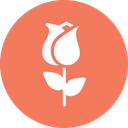 پیش‌نمایش فایل love-romantic-valentine-day-rose-lotus-flower-14 از پک ولنتاین، جلد ۱